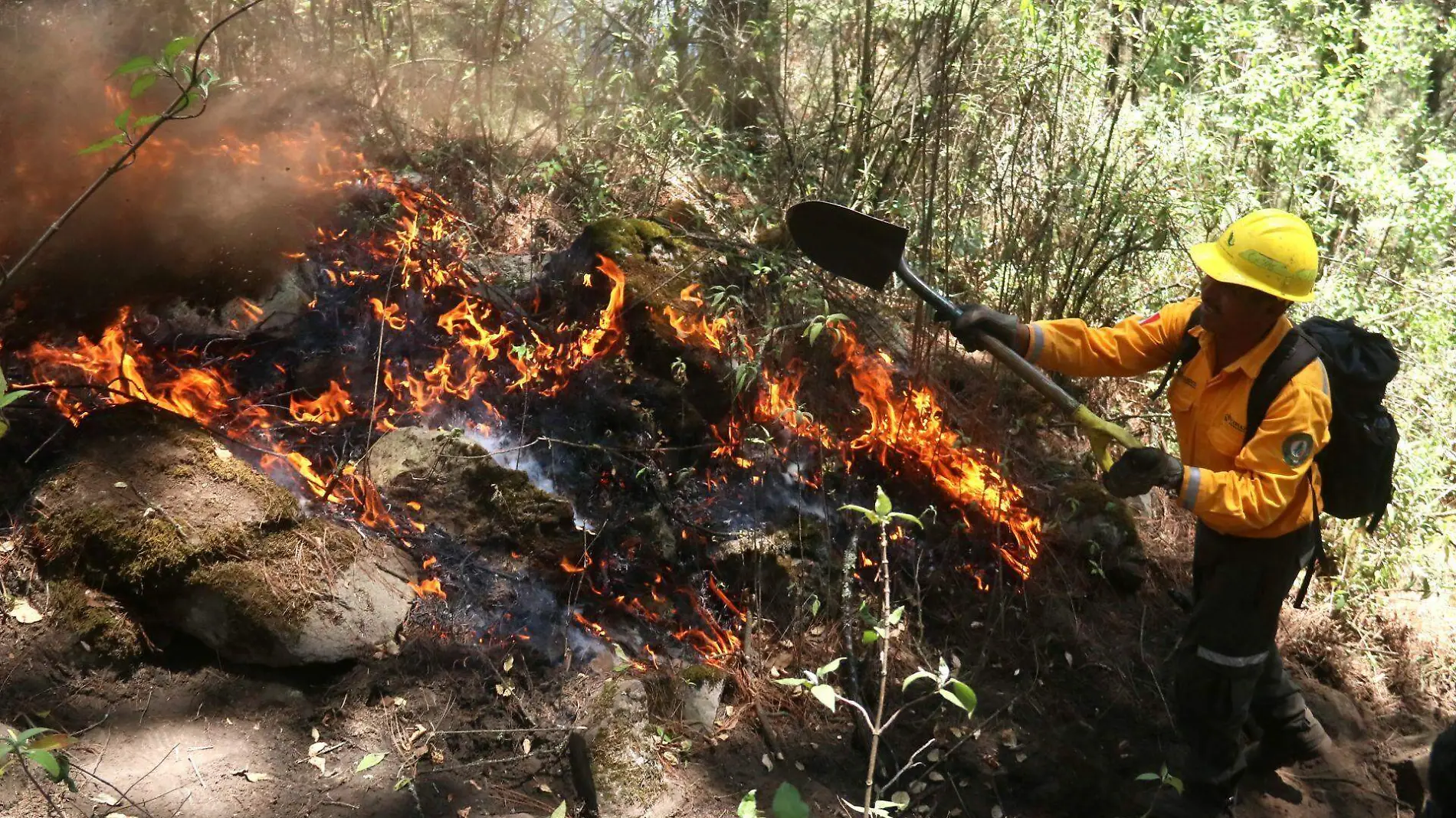 incendio-bosque-agua-cuartoscuro-margarito-perez (9)